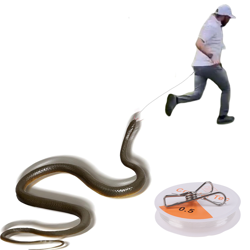 Outdoor Snake Prank with Strin - Prank Toys 评论和价格