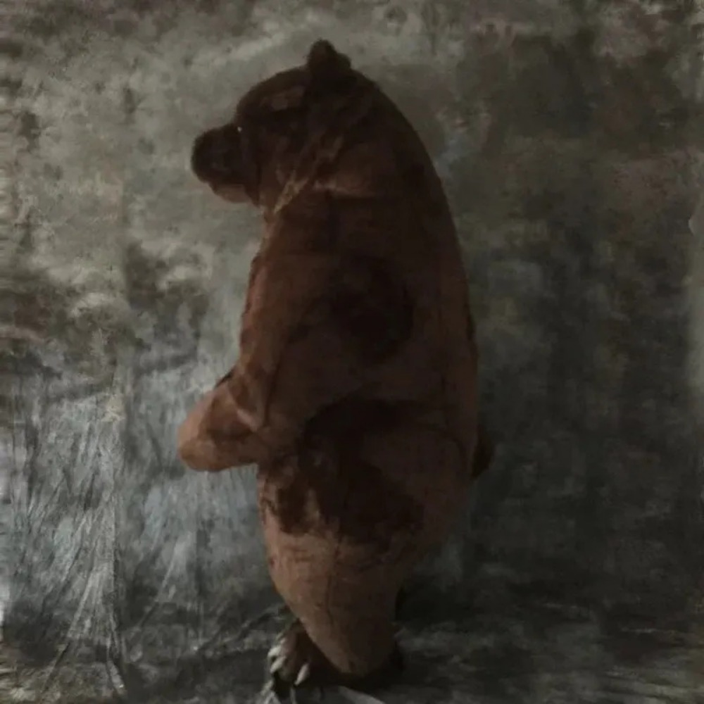 Inflatable Brown Bear Mascot C - Costumes 评论和价格