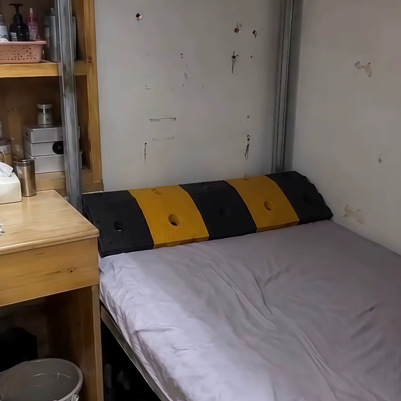Funny Speed Bump Prank Pillow, - Prank Toys 评论和价格