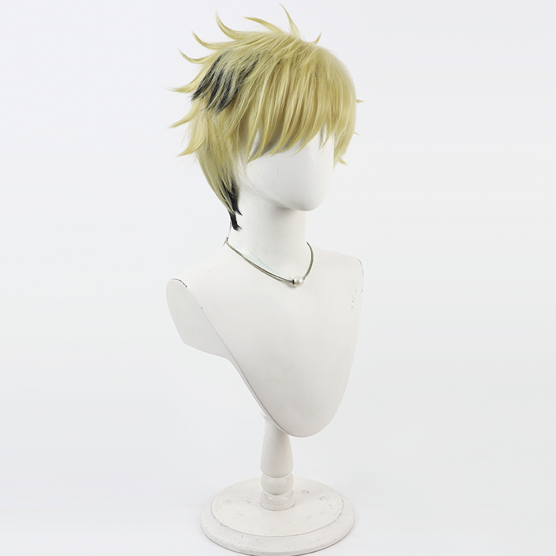 Vantacrow Bringer Cosplay Wig  - Anime Cosplay Wig Heat Resistant 评论和价格